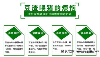 精选益生菌发酵豆渣 科学饲喂保障猪只健康与高效远程管理